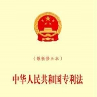 中華人民共和國(guó)專(zhuān)利法2008